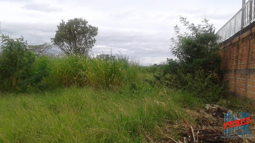 Imagem 6 de 20 de Chácaras_sítios_fazendas Para Venda - 13650.3925