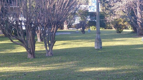 Imagen 4 de 6 de Alberto Grande Y Alferez Sardi, Hermosos Lotes¡¡¡¡¡
