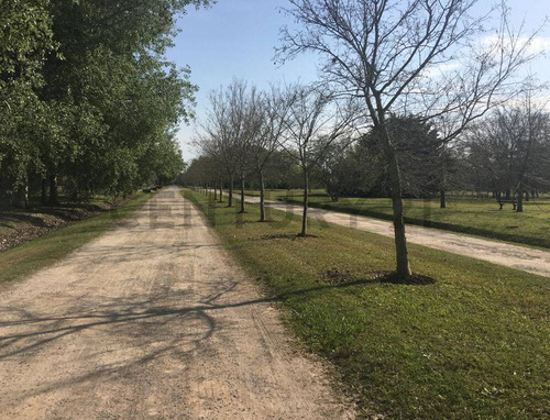 Venta De Lote De 5000 Metros En Campos De Roca 1 Barrio Cerrado