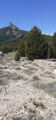 Imagen 3 de 9 de Terreno - San Martin De Los Andes