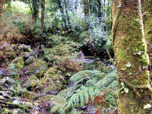 Campo De 36 Ha Cercano A Termas Del Sol