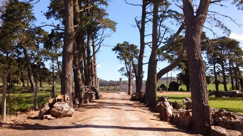 Imagen 2 de 25 de Campo Apto Vivienda O Emprendimiento Turístico.