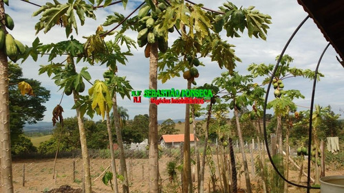 Chácara Em Caçapava - 1451