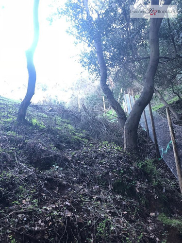 Parcela En Venta En Limache