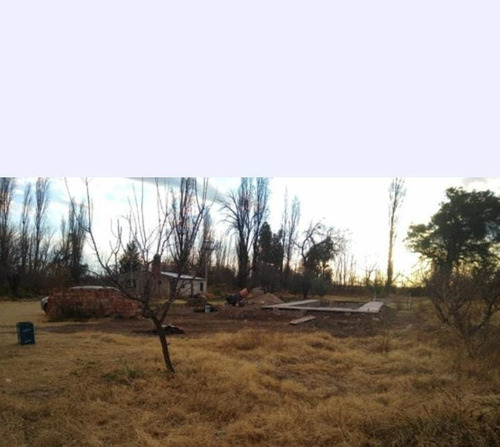 Imagen 3 de 19 de Venta De Casa Con Terreno De 1/2 Hectárea - San Rafael Mendoza