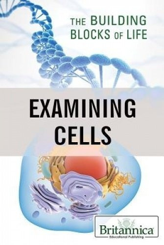 Examining Cells (building Blocks Of Life)