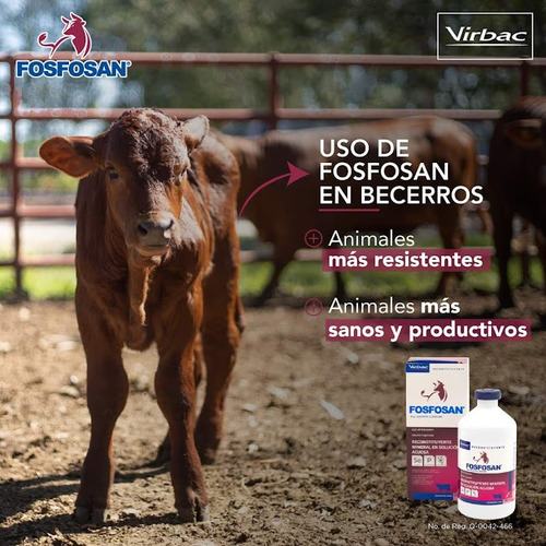 Fosfosan 500ml (vacas,ganado,cerdos) Envió Gratis