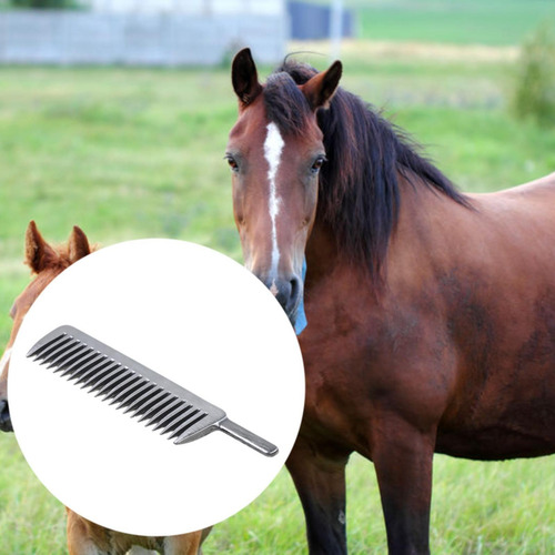 Pein De Caballos Peine Peine De Caballo Peine Se Quitan