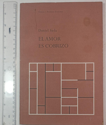El Amor Es Cobrizo, Daniel Sada