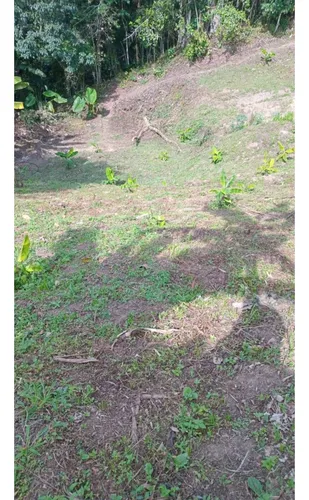 Venta Finca Productiva Vereda El Cinabrio - 31.5 Cuadras