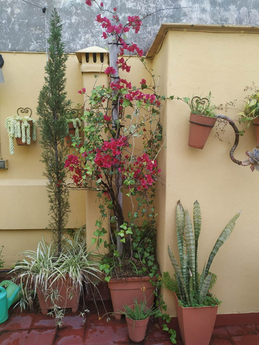 Imagen 9 de 18 de Ph 3 Ambientes Con Balcon Y Gran Terraza