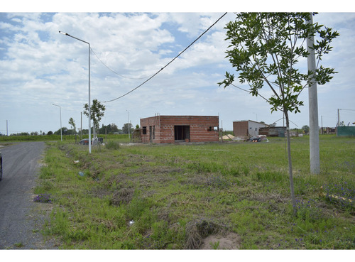 Lote En Alvear - Campos Del Oeste - 300m2