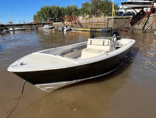 Regnicoli Marea 630 Mercury 115 Hp 4 Tiempos