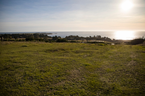 Vista Horizonte Punta De Lobos