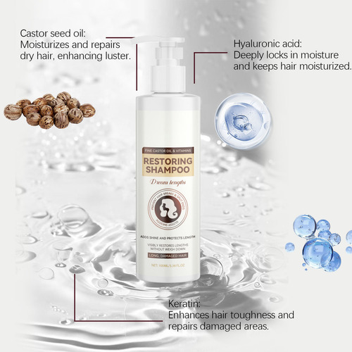 Shampoo Reparador De Proteção Térmica Dry Frizzy Smoothed Sh