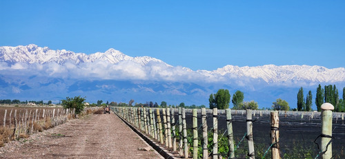 Finca Super Premium En Valle De Uco, La Consulta. Mendoza