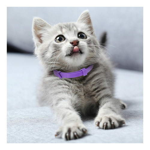 J Gift - Collar De Gato Calmante Ajustable De 5 Piezas