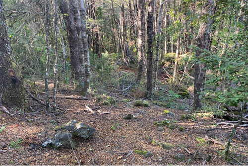 Venta Parcela Bosque Pucón