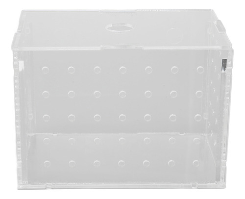 Criadero De Peces Fish Breeder Box De Acrílico De Alta Trans