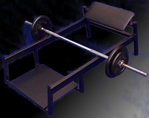 Soporte Hip Thrust Gluteos. Respaldo Giratorio