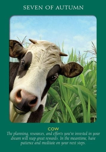 Imagen 6 de 8 de Animal Tarot Cards, Este Tarot Esta En Ingles, Por Doreen Vi