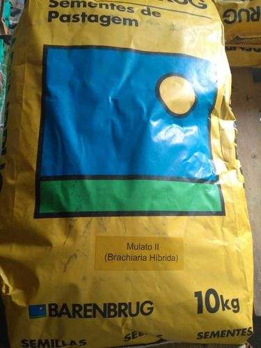 Sementes De Brachiaria Híbrida Mulato 2 (saco Com 10kg)