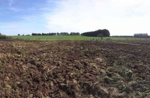 Venta De Campo 5has En La Celina, San Pedro