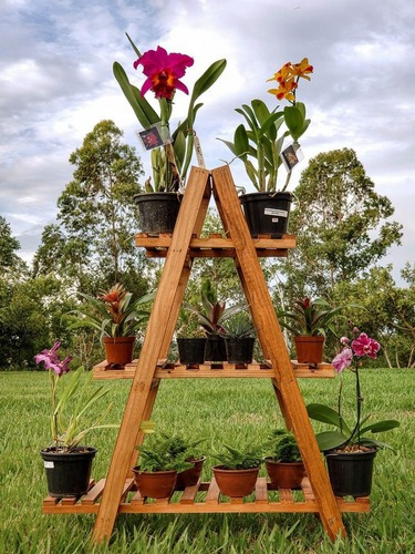 Prateleira Escada Tripla Plantas Orquídeas Suculentas Cactos | Frete grátis