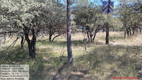 Terreno En Venta En Desarrollo Ecoturisco La Muralla Durango