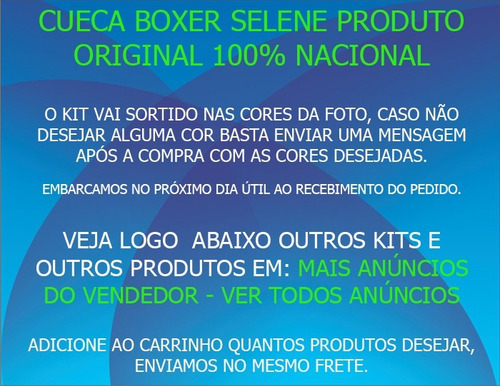 Kit Com 10 Cuecas Box Selene Em Poliamida - Cores Sortidas