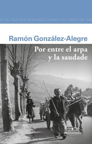 Por Entre El Arpa Y La Saudade, De Gonzalez Alegre,ramon. Editorial Alhena Fabrica Contenidos En Español