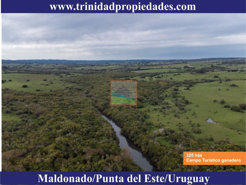 Imagen 3 de 14 de 325 Hás Campo Ganadero Criador