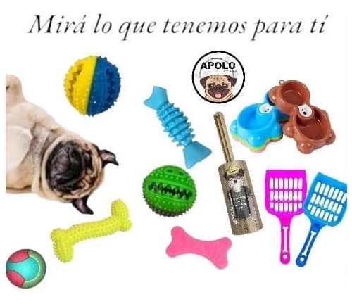 Imagen 8 de 10 de Mochila Bolso Mascotas Perro Gato Transparente Visión Apolo®