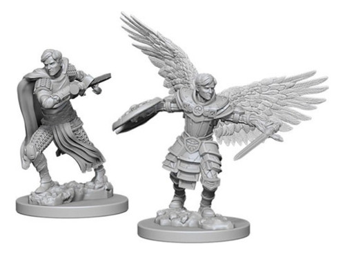 Aasimar Fighter Nolzur's Marvelous Unpainted Miniatures