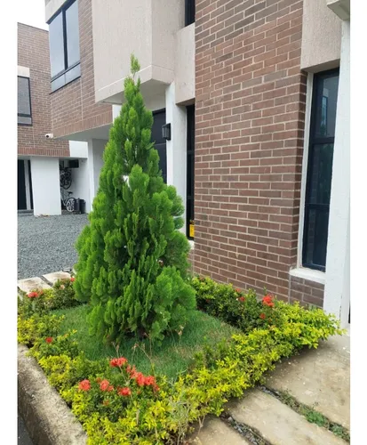 ¡tu Nuevo Hogar En Conjunto Residencial Fioreli Parque Natura!