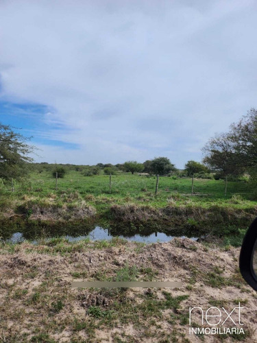 Descubre El Potencial De Este Campo Agrícola En Alejandra, A Solo 5hs De Rosario