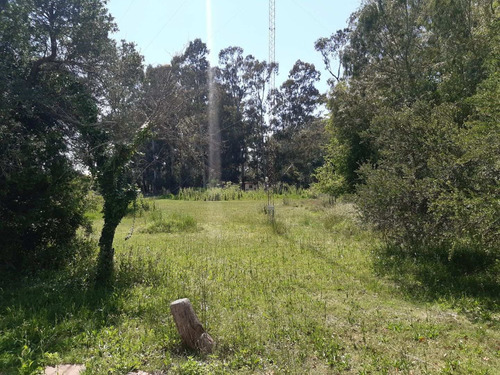 Imagen 9 de 29 de Casa Quinta En Punta Indio