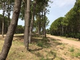Imagen 5 de 8 de Lotes Continuos En Pinamar Norte A 500 Mts Del Mar