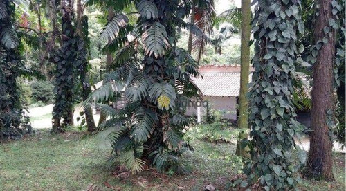 Imagem 25 de 30 de Terreno À Venda, 4489 M² Por R$ 900.000 - Demarchi - São Bernardo Do Campo/sp - Te0326