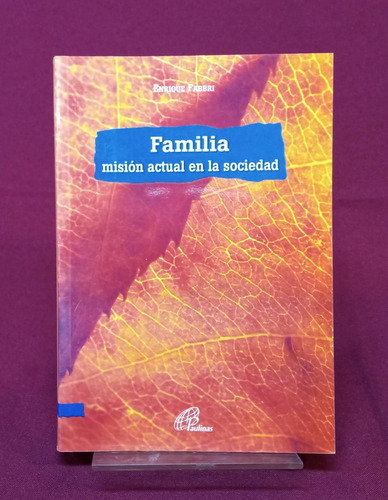 Familia Mision Actual En La Sociedad - Enrique Fabbri