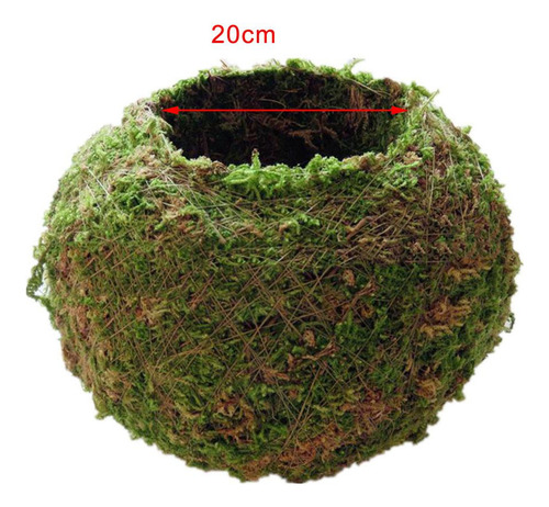 Liuyiyi Maceta De 3 Bolas Er Para Bonsái, 18 Cm