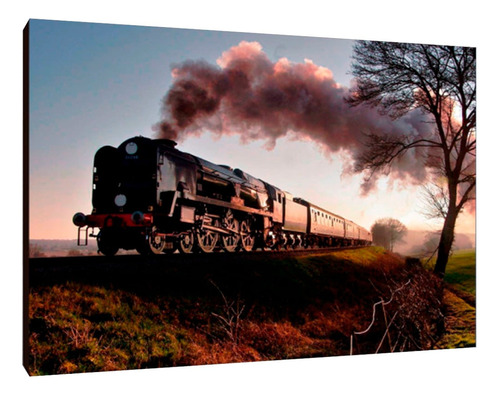 Cuadros Poster Trenes Vias L 29x41 (tnes (7))