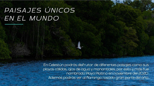 ¡vive Cerca Del Mar! Terrenos En Venta Con Club De Playa En Celestún Yucatán