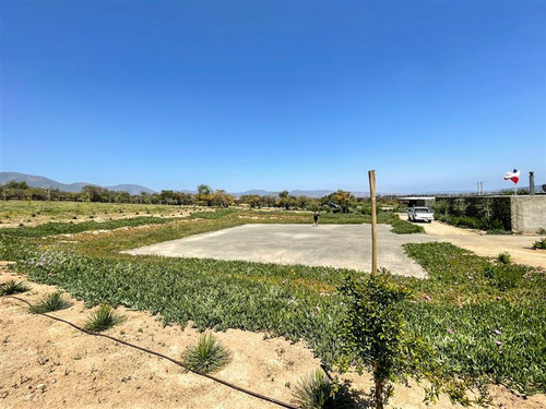 Imagen 20 de 29 de Sitio En 3 Has En Venta - Catapílco, Zapallar