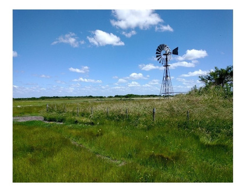 Campo En Venta En Chascomús - 183 Hectáreas Agrícola