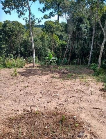 Imagem 8 de 10 de Cod 5621 - Chácara Com 870 M² Ótima Localização. - 5621