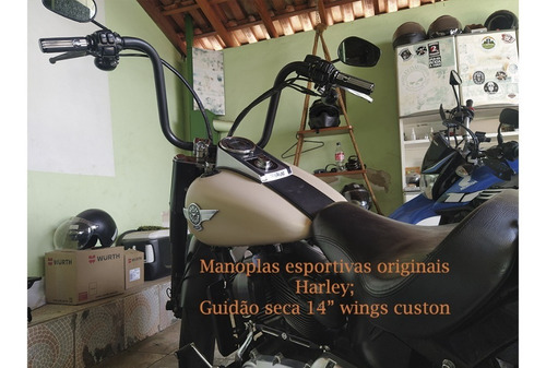 Imagem 3 de 15 de Harley Davidson Fat Boy Special