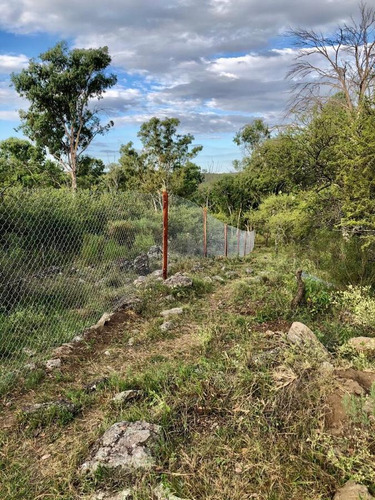 Imagen 4 de 12 de Campo - Villa Del Dique