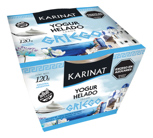 Yogur Helado Griego - Caja De 12u / 120g - Karinat