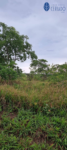 Imagem 3 de 5 de Venda De Terreno À 27km Saída Pra Corumbá 20mil Metros - Te4232421